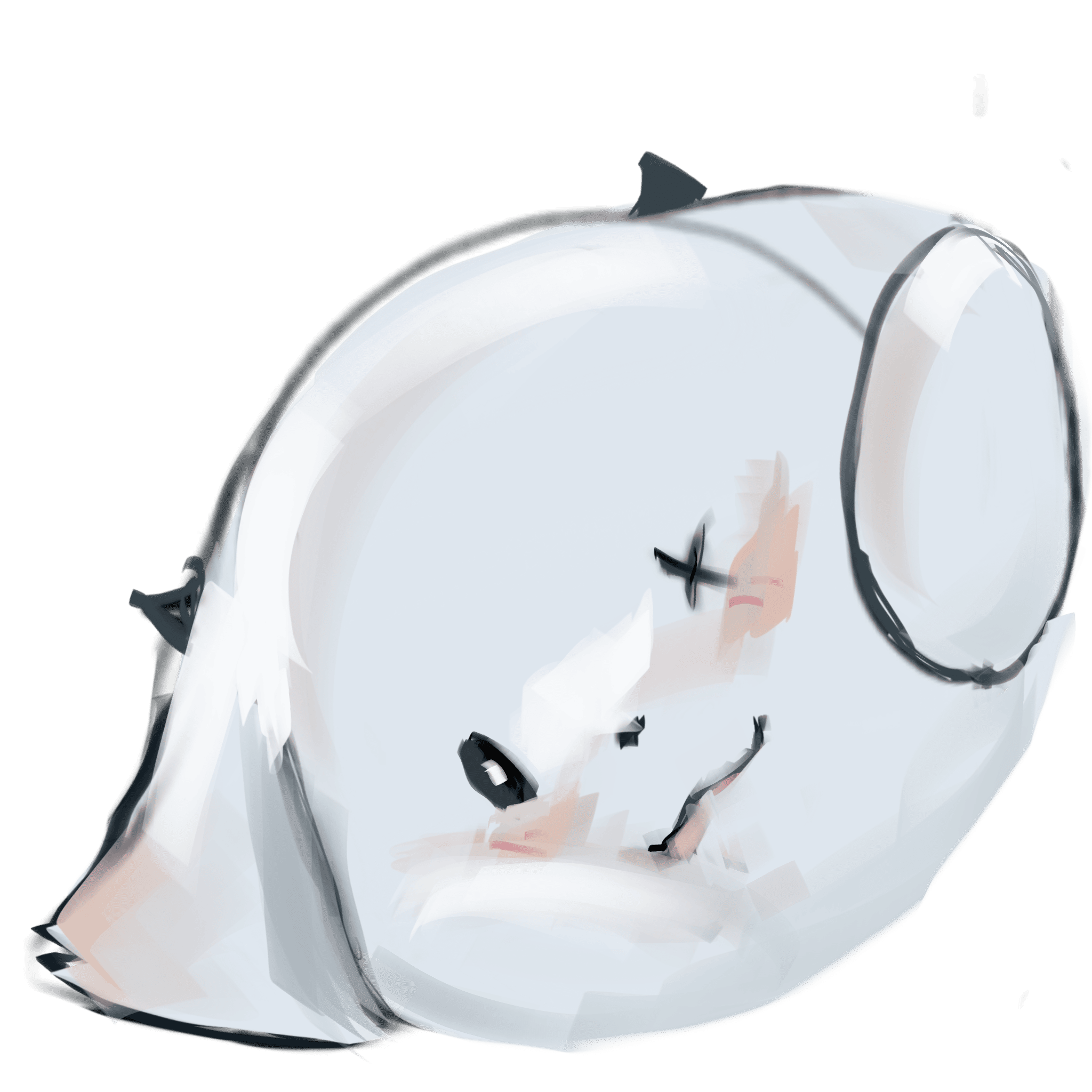 AocivA bear profile